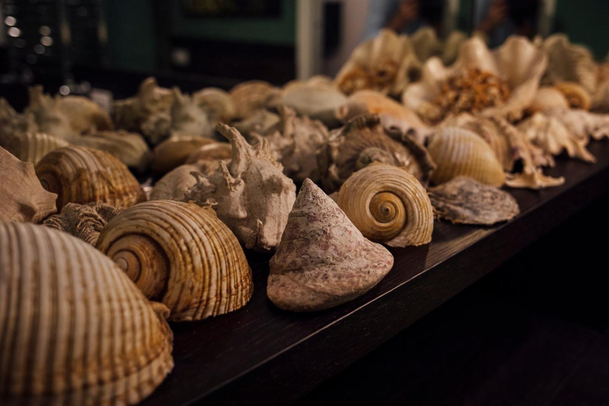 Atmosfere Puniche B&B Palermo Rom bilde